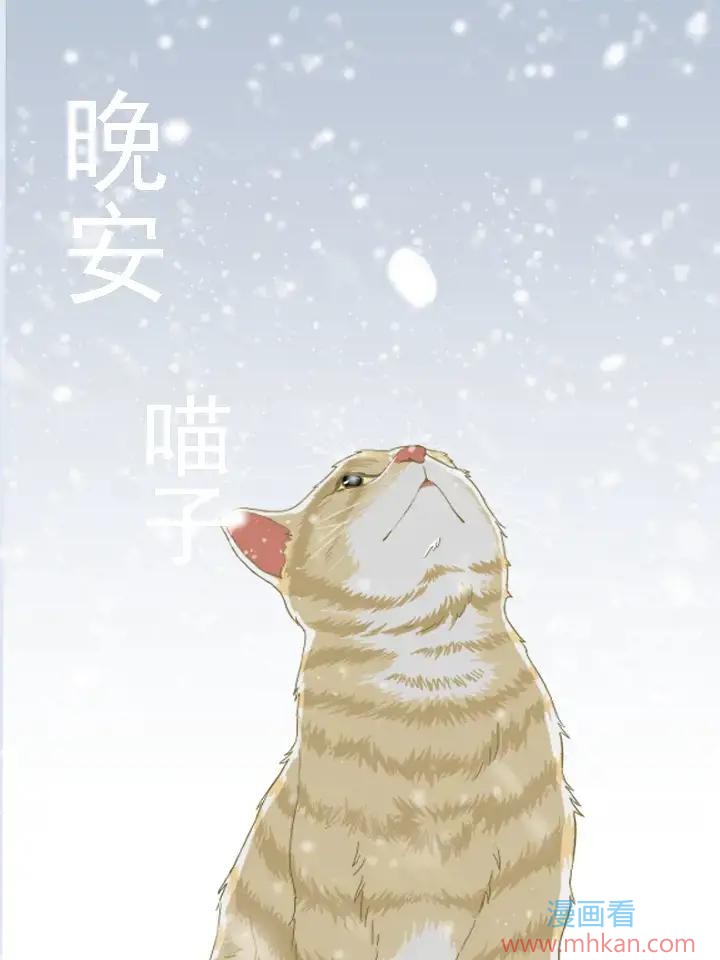 晚安喵子