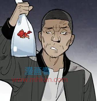 金鱼