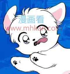 狗狗逃亡记