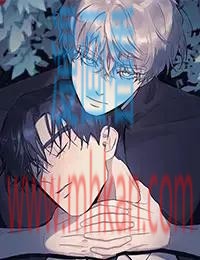 无根之树