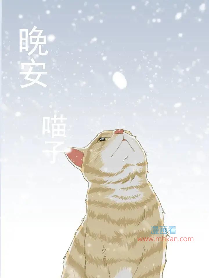 晚安 喵子