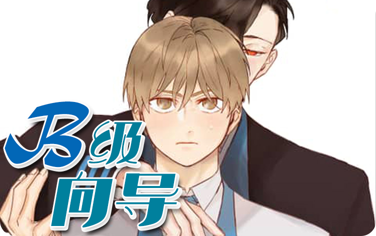 B级向导 B级向导